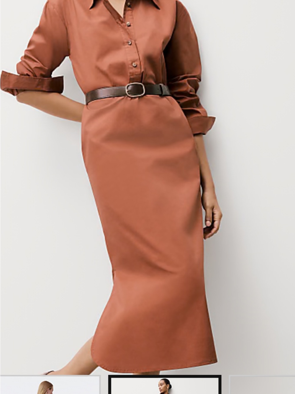 Rust Brown Button-Up Shirt Dress - Picture 5 of 5